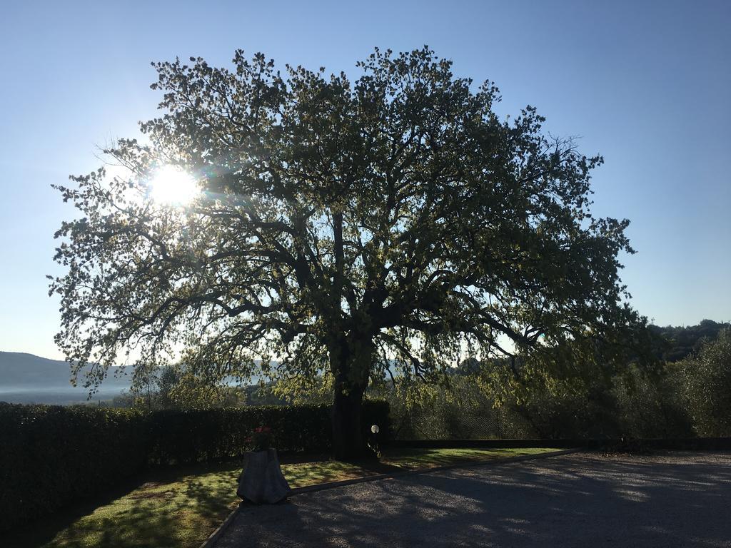 Agriturismo Pian Del Vescovo Massa Marittima Exteriör bild